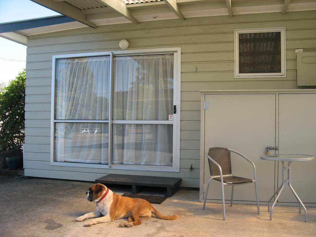 Tongariro River Motel Туранги Стая снимка